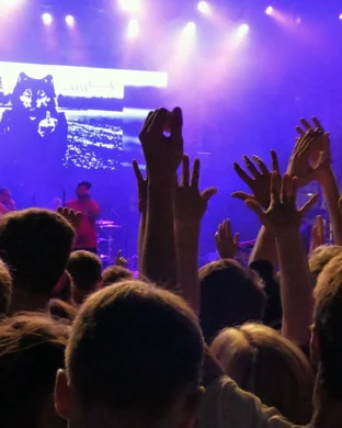 Emarosa