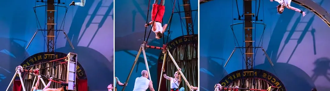 Cirque Mechanics