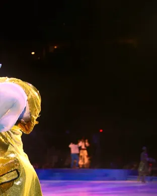 Disney On Ice: Find Your Hero