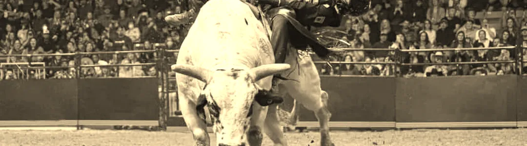 PBR: Unleash The Beast