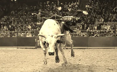 PBR: Unleash The Beast