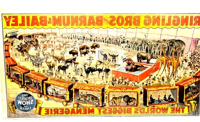 Ringling Bros. and Barnum & Bailey Circus