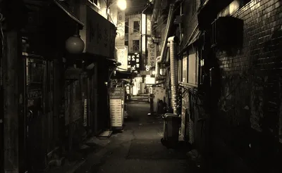 The Back Alley