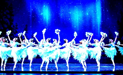 The Nutcracker