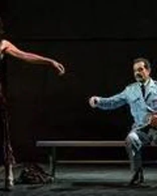 Velveteen - Musical